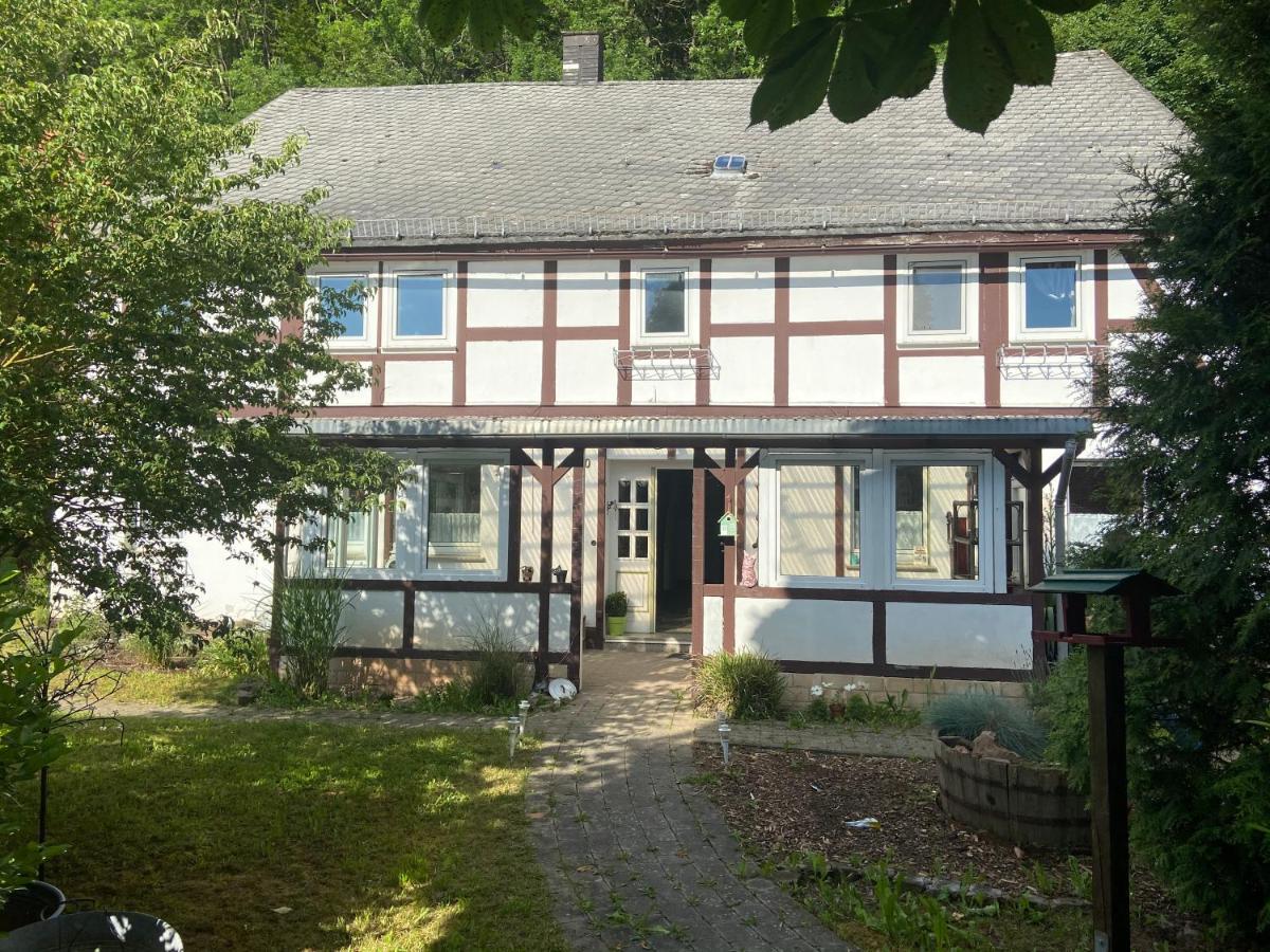 Zeitreise- Haus Mit 5 Schlafzimmern Diemelsee Exteriör bild