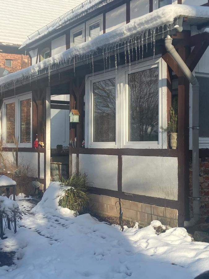 Zeitreise- Haus Mit 5 Schlafzimmern Diemelsee Exteriör bild